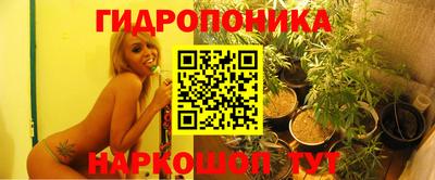 ешки Партизанск