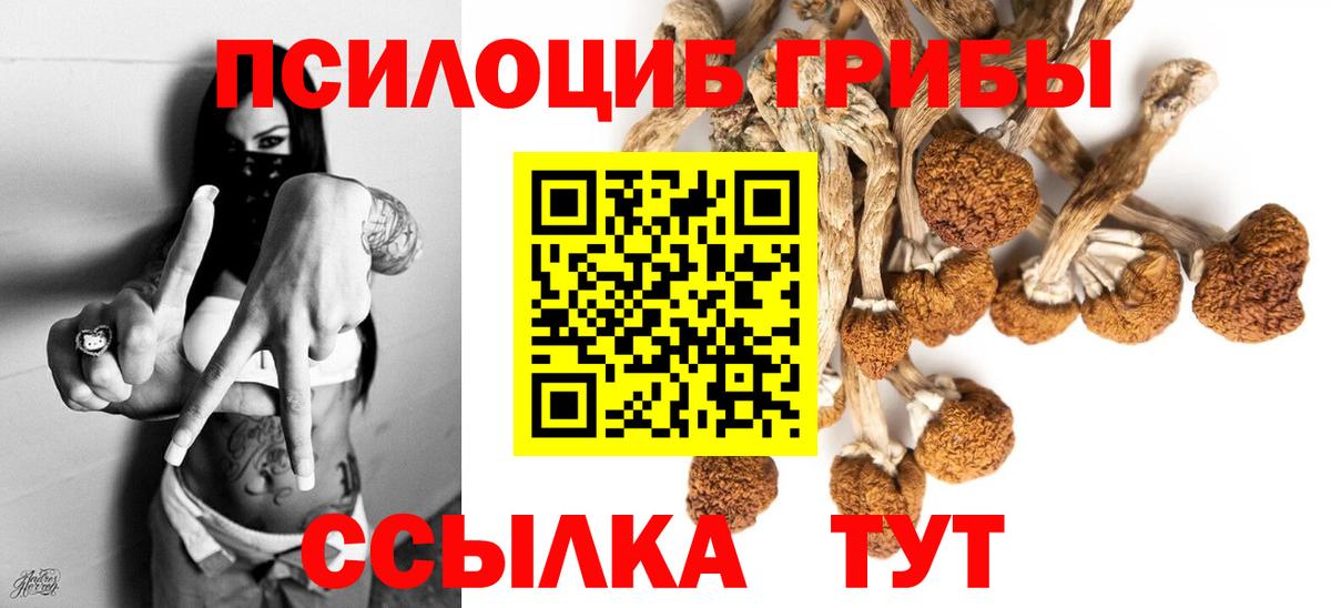 Галлюциногенные грибы Magic Shrooms  Вход с VPN  Майкоп 